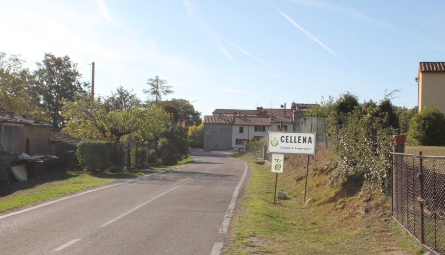 Cellena