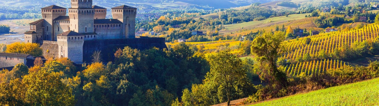un castello su una collina con alberi e montagne sullo sfondo