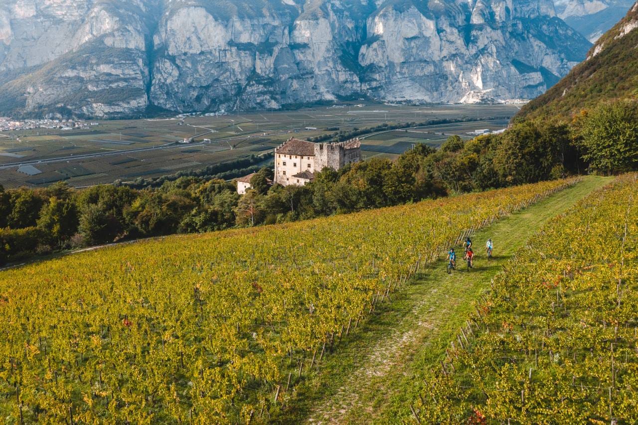 Outdoor activities to practice in Piana Rotaliana Konigsberg, the vine-covered heart of Trentino